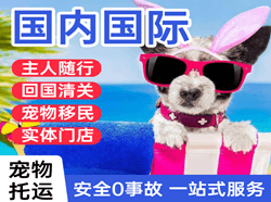 且末玉都航空快递国际宠物托运 【国